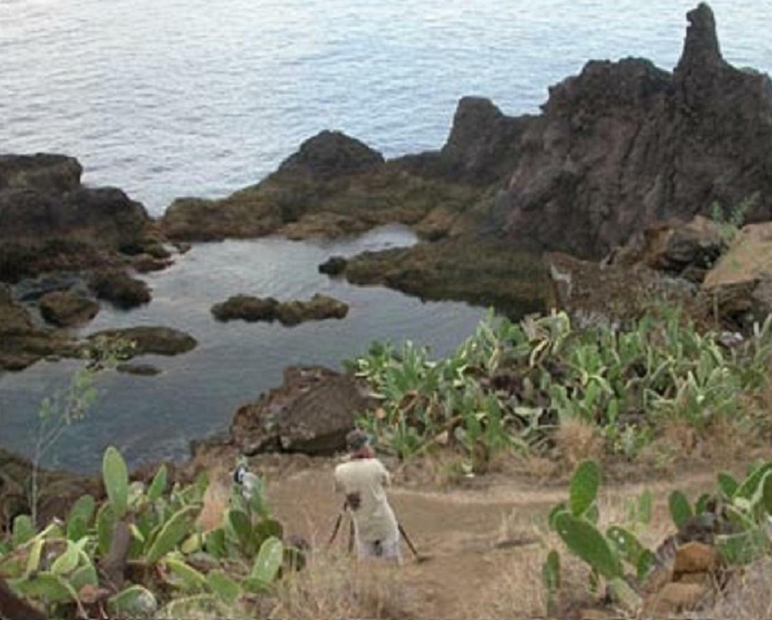 Un Balcon Sur La Mer Funchal  Exterior foto